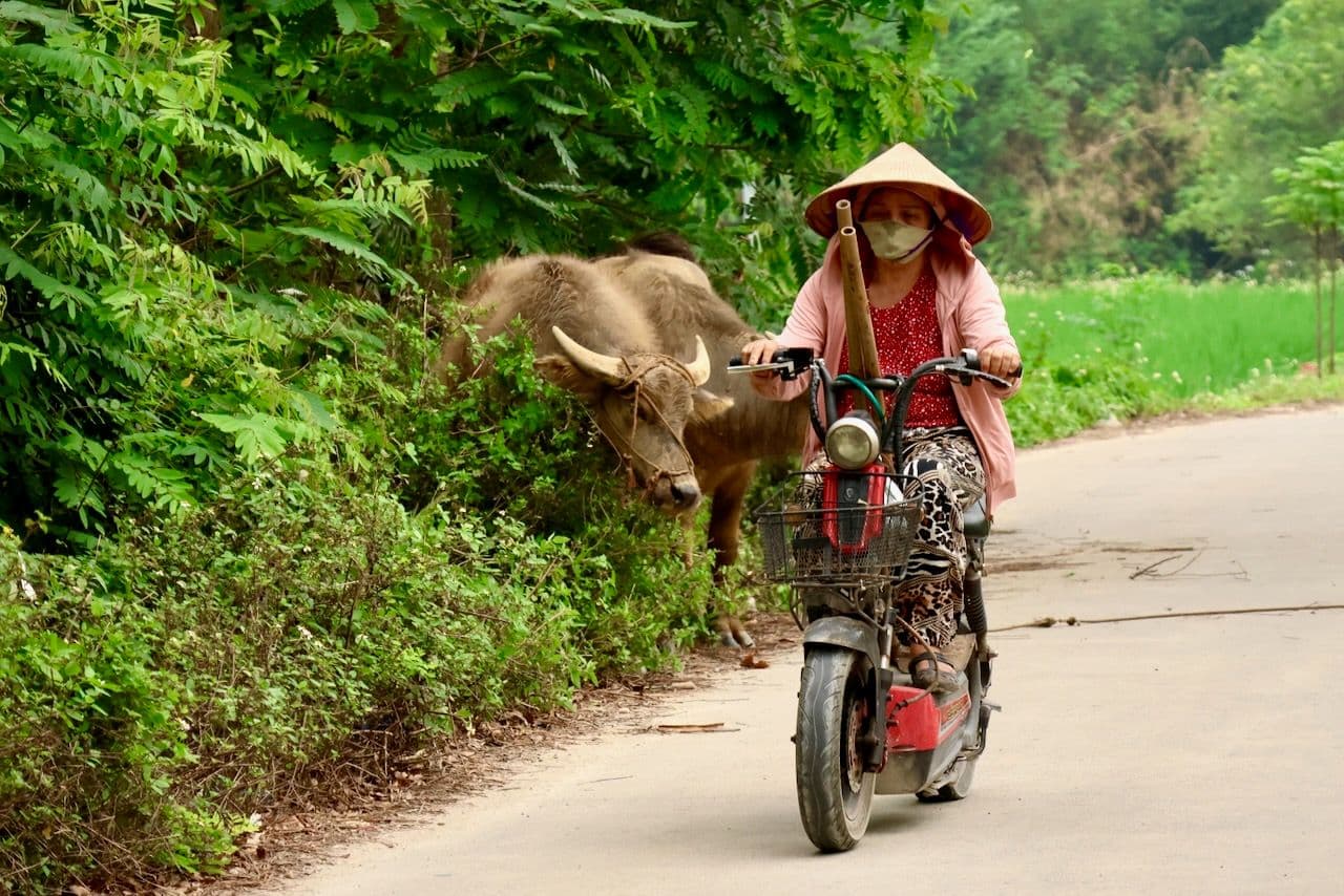 Hanoi Part Two: Packed with culture and history